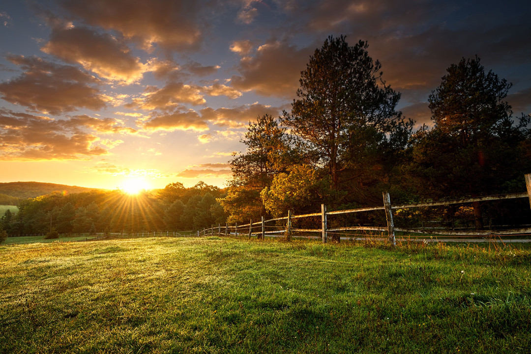 Country Fields Near Me